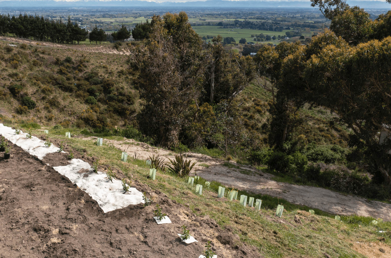 Weed & Mulch Mats Wool Life
