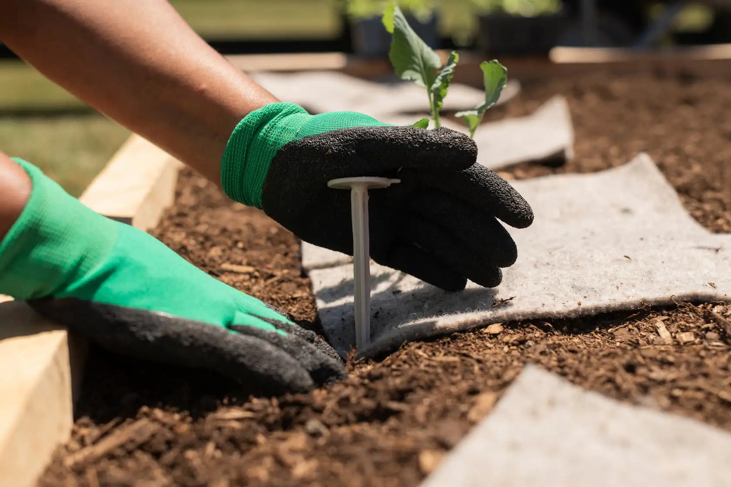 Close-up of biodegradable garden pegs made from eco-friendly materials