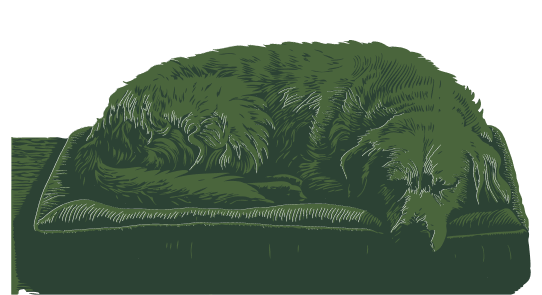 Introducing: New Zealand's ONLY Fully Circular Dog Bed