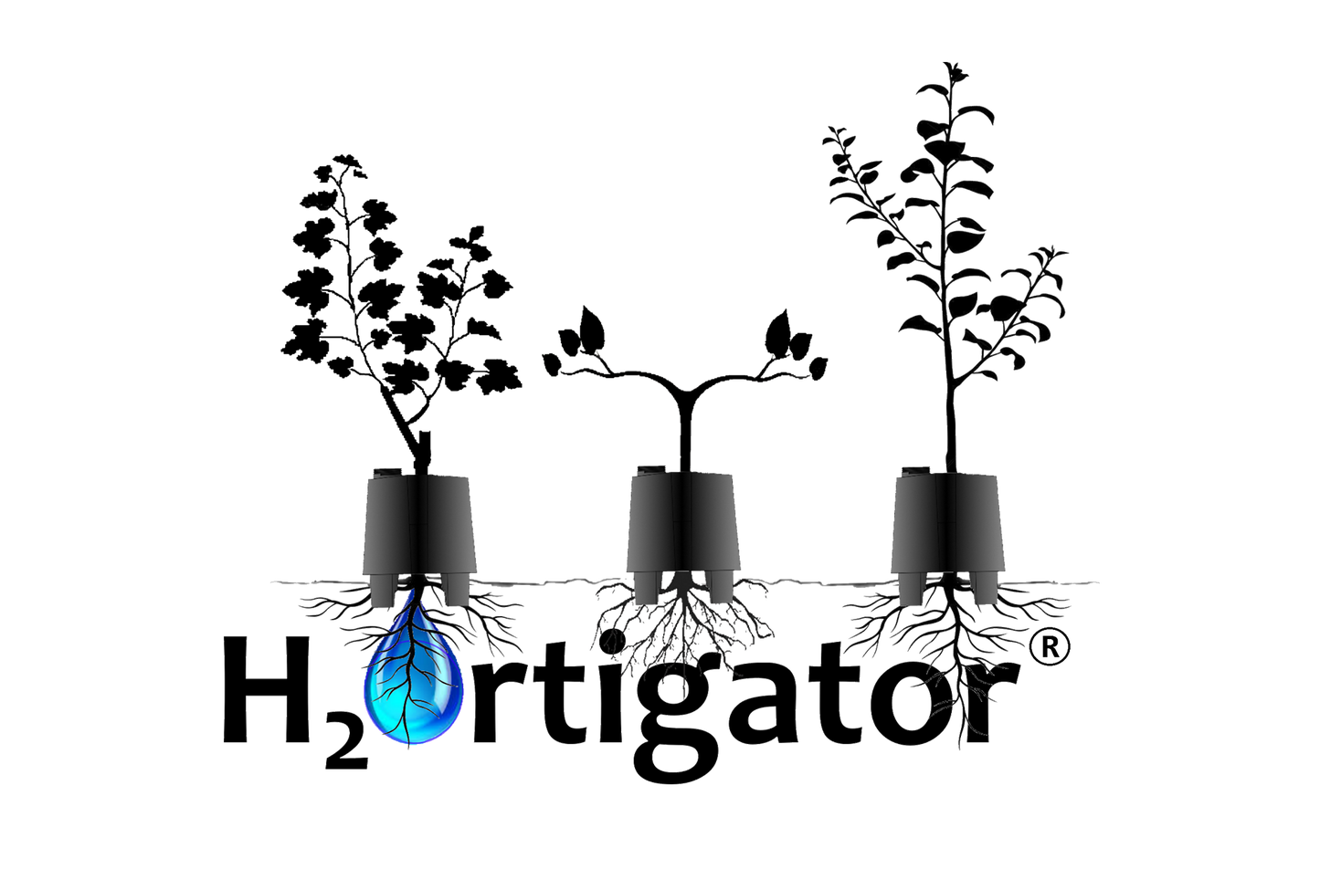 H₂Ortigator Pod