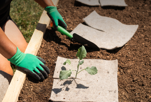 The Ultimate Guide to Using Wool Mulch in Your Garden