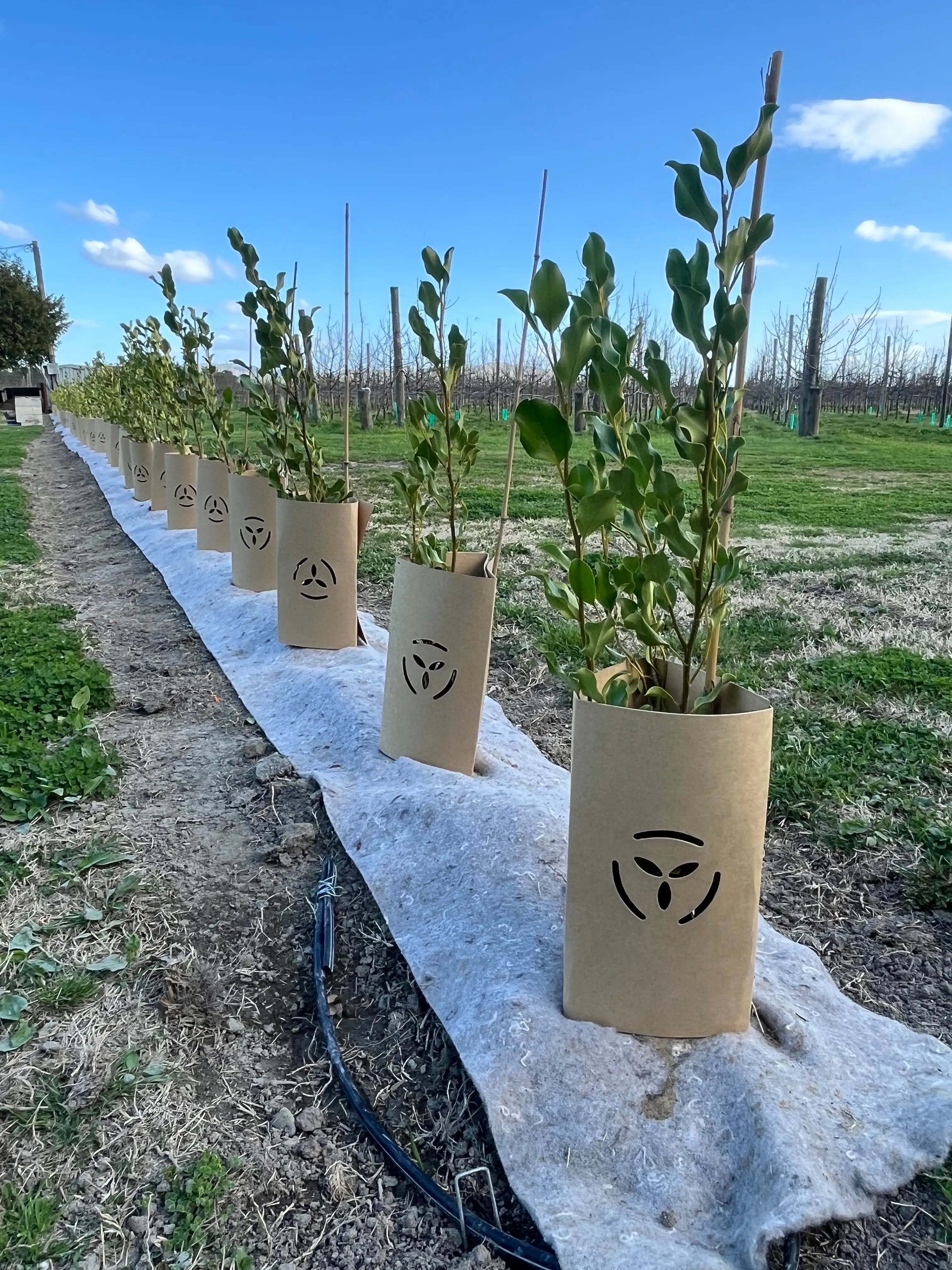 Preparing Your Garden for Wool Mulch Mats: Why Groundwork Matters