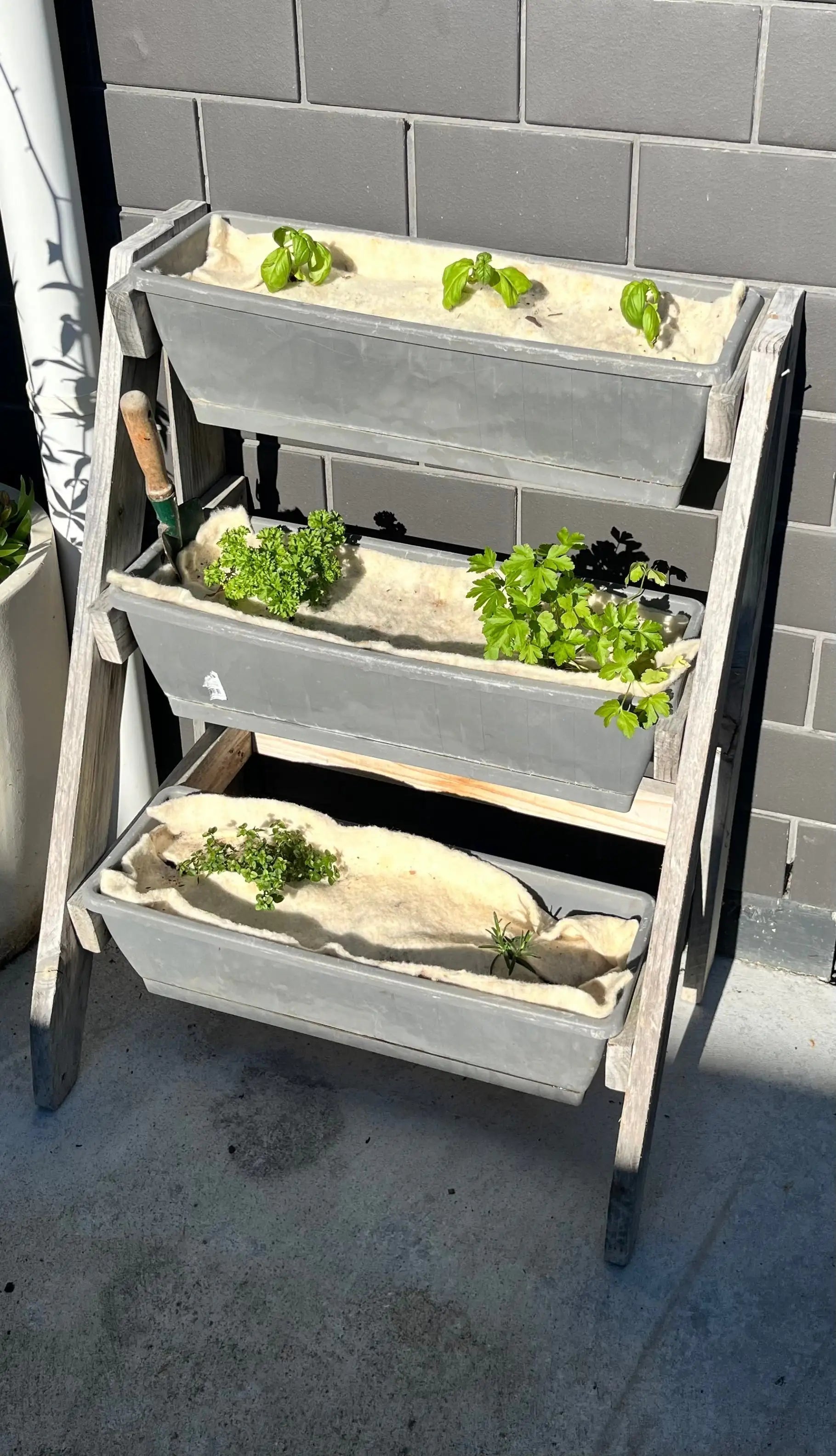 Growing a Thriving Herb Garden with Wool Mulch Mats