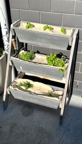 Growing a Thriving Herb Garden with Wool Mulch Mats