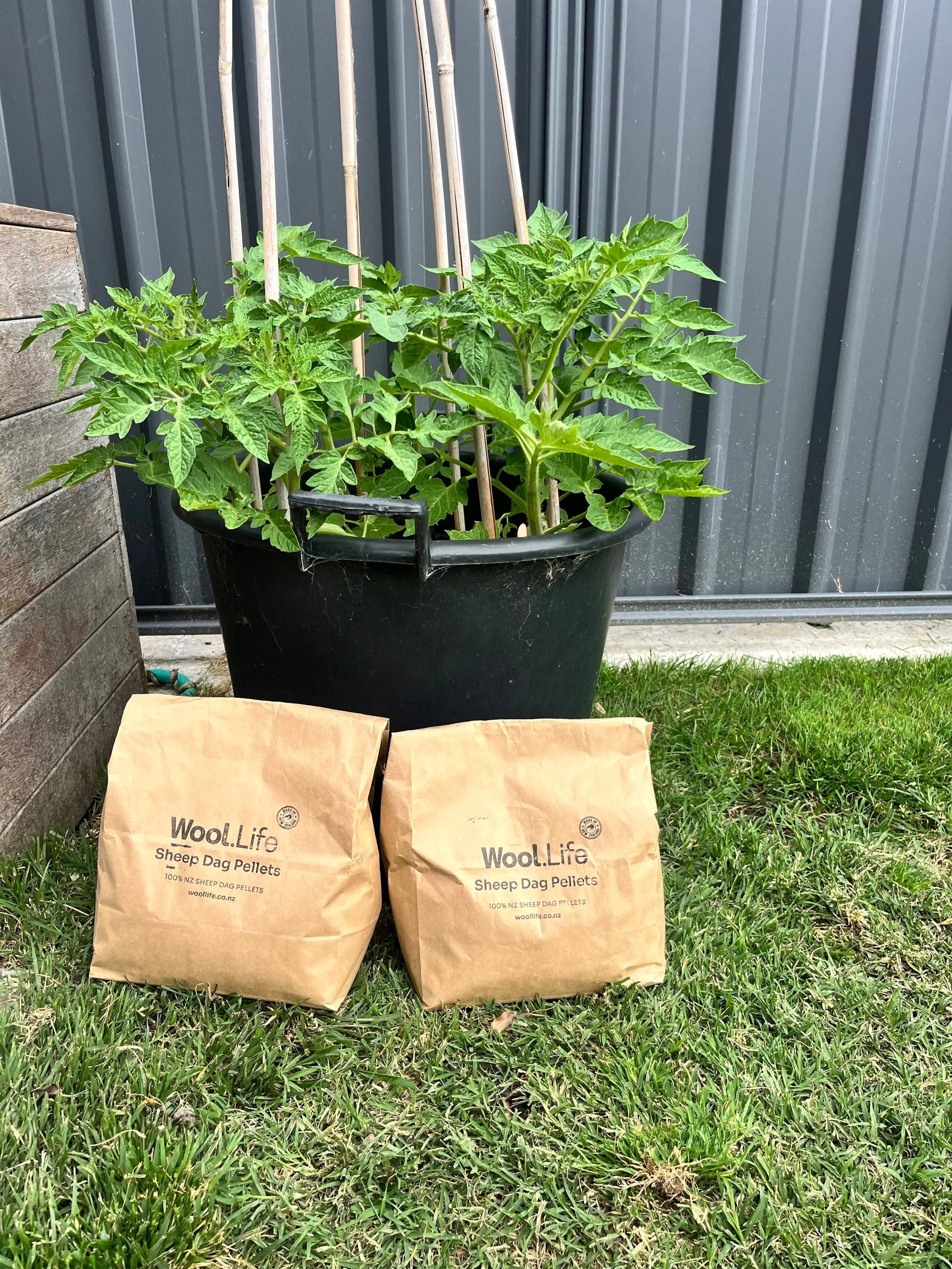 Feed the Soil, Not Just the Plants