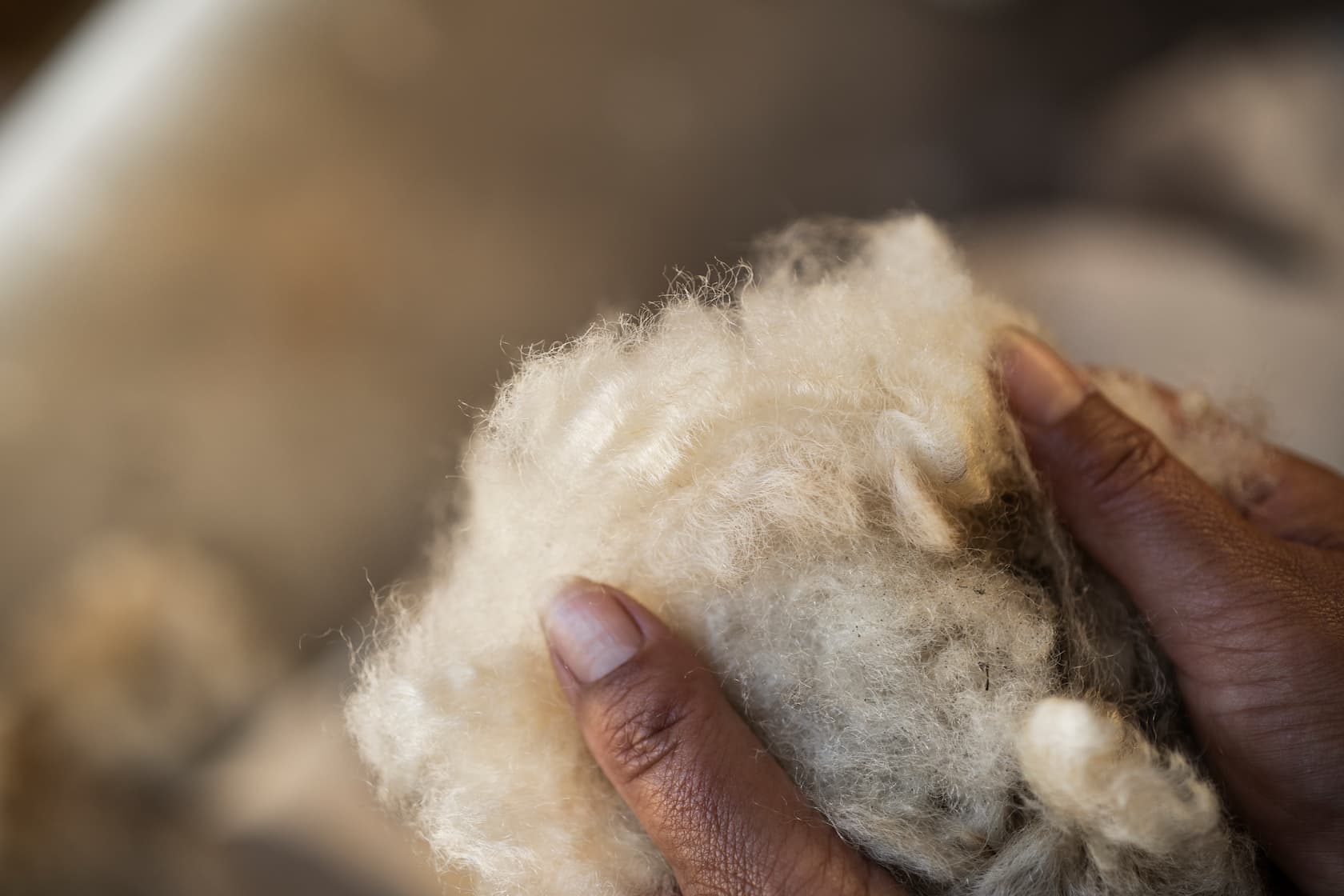 Wool-Driven Innovation: How Wool.Life is Closing the Loop on Textile Waste