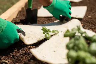 The Ultimate Guide to Using Wool Mulch in Your Garden