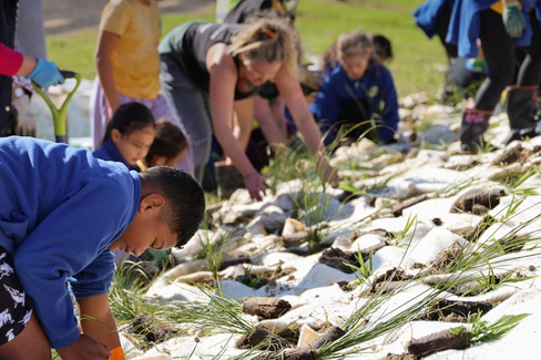 How Recycled Wool Mulch Matting Supports a Circular Economy in NZ Gardening