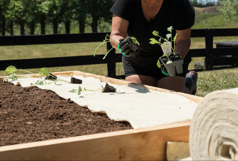 Wool Mats vs Plastic Weed Mats: Which Is Best for NZ Gardens?