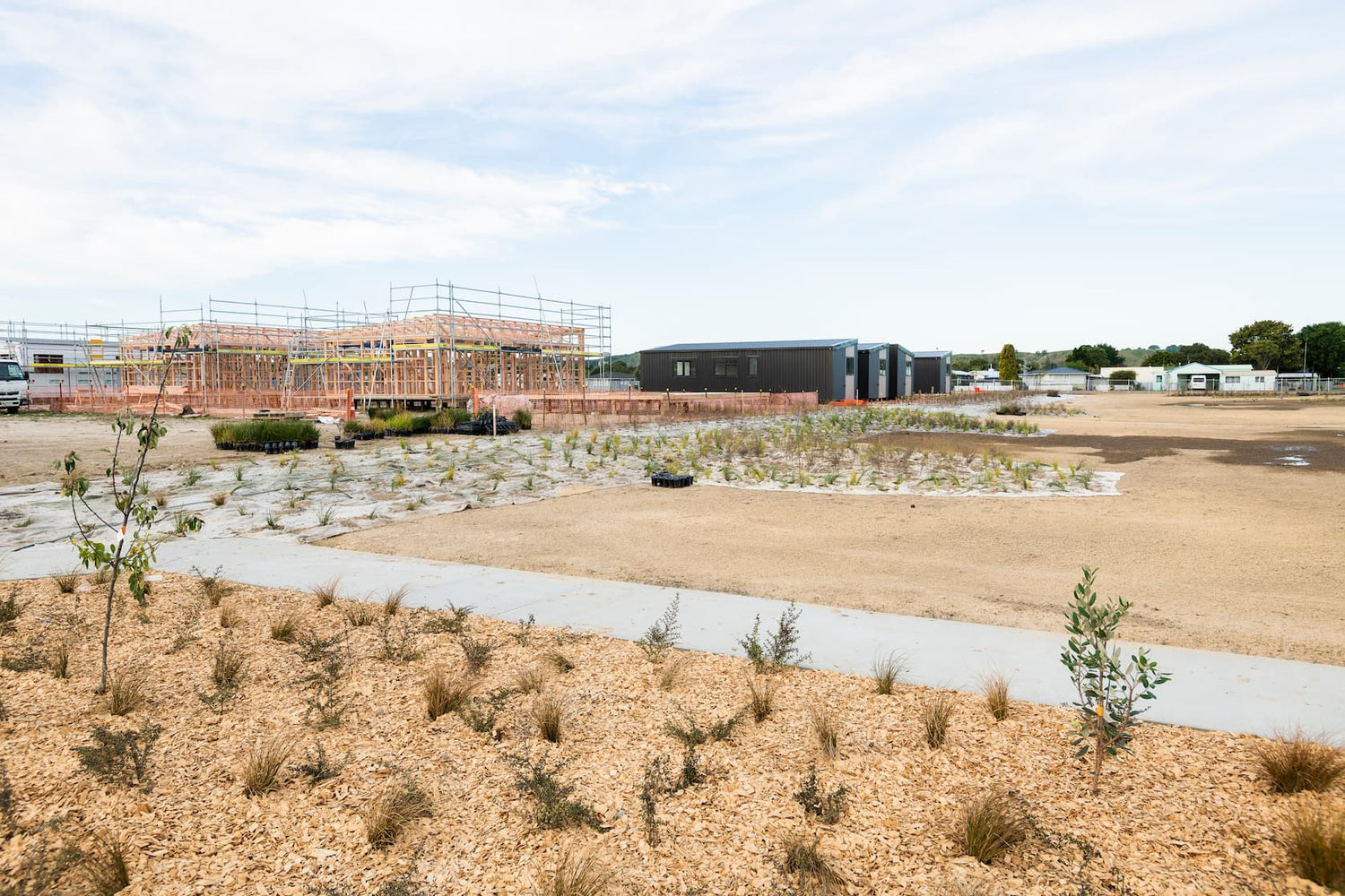 Commercial Planting