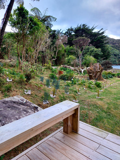 Wool mulch mat squares installed on garden hillside for erosion control