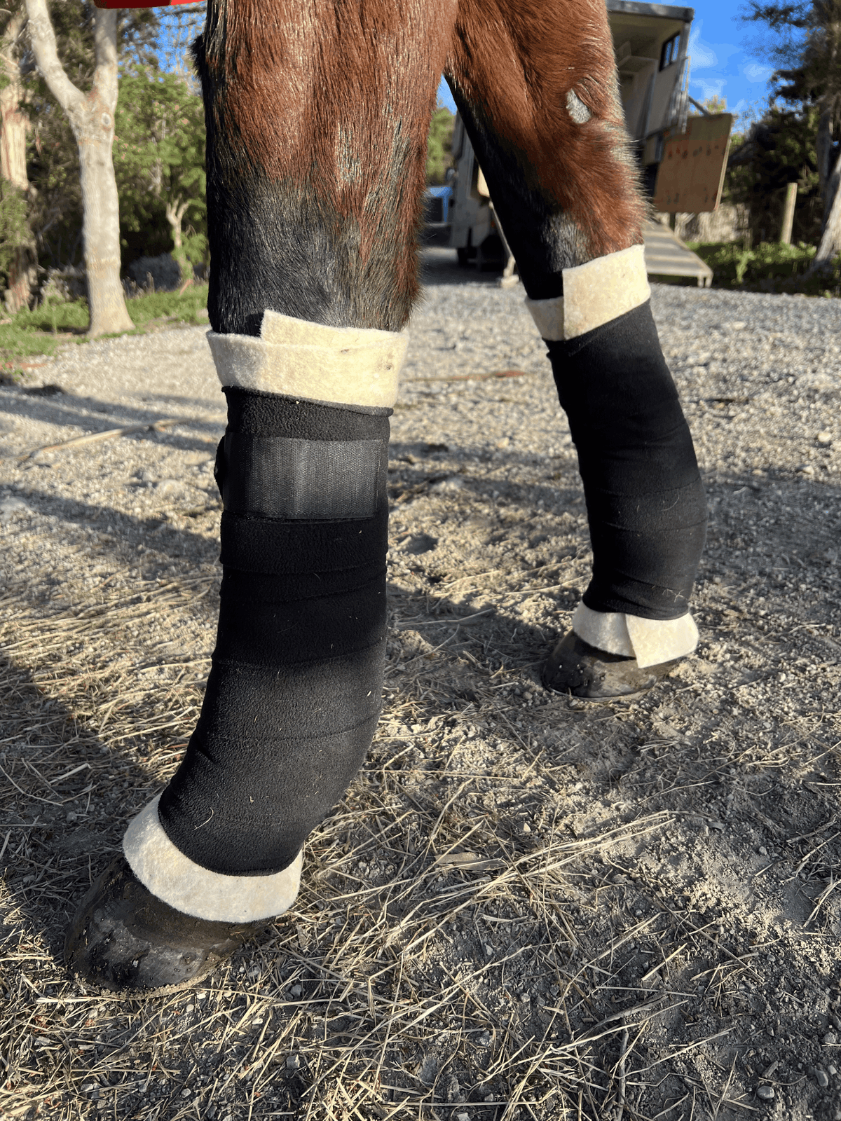 Equine Wool Wrap
