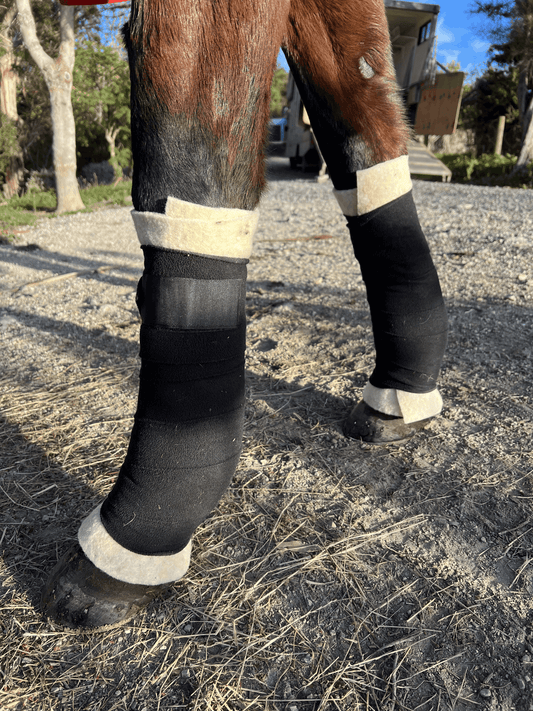 Equine Wool Wrap