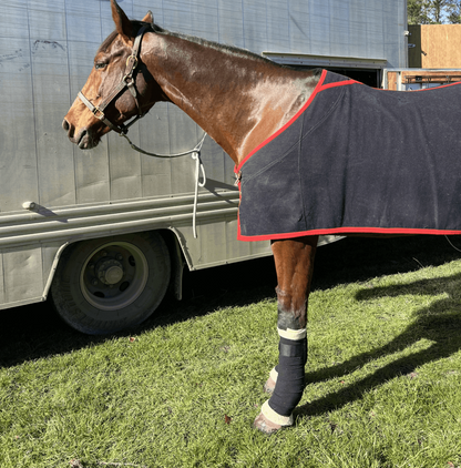 Equine Wool Wrap