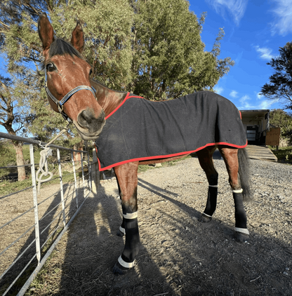Equine Wool Wrap