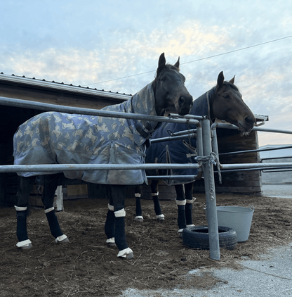 Equine Wool Wrap