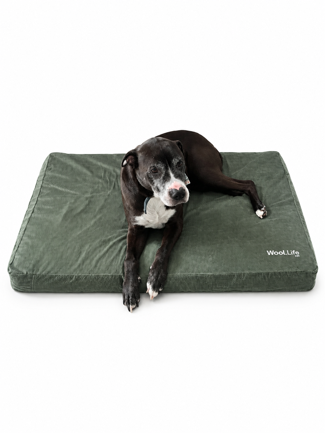 Wool.Life Pet - Dog Bed