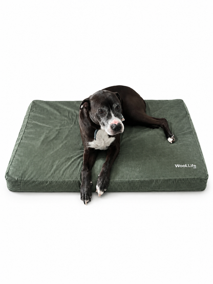 Wool.Life Pet - Dog Bed