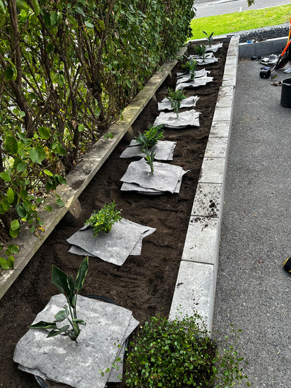 Wool.Life recycled wool weed and mulch mat squares on hillside planting