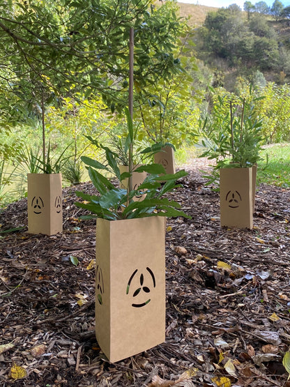 EmGuard plant protectors Wool.Life  installed to shield young plants naturally