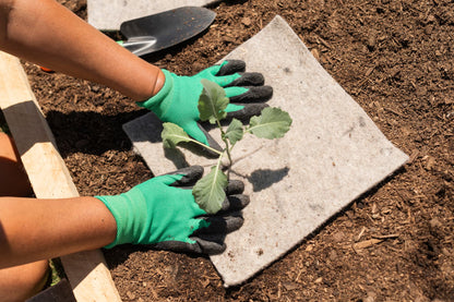 Recycled wool weed mulch mat squares protecting seedlings - NZ biodegradable weed mat