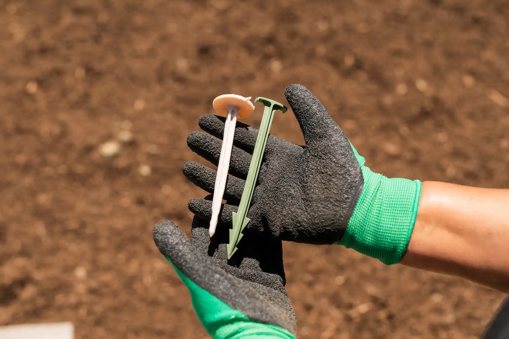 Biodegradable garden pegs used to secure wool mulch mats in outdoor beds