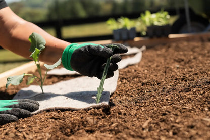 Sustainable biodegradable garden pegs securing wool mulch mats in raised bed NZ