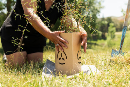 Wool.Life EmGuard plant protectors securing young plants in garden beds