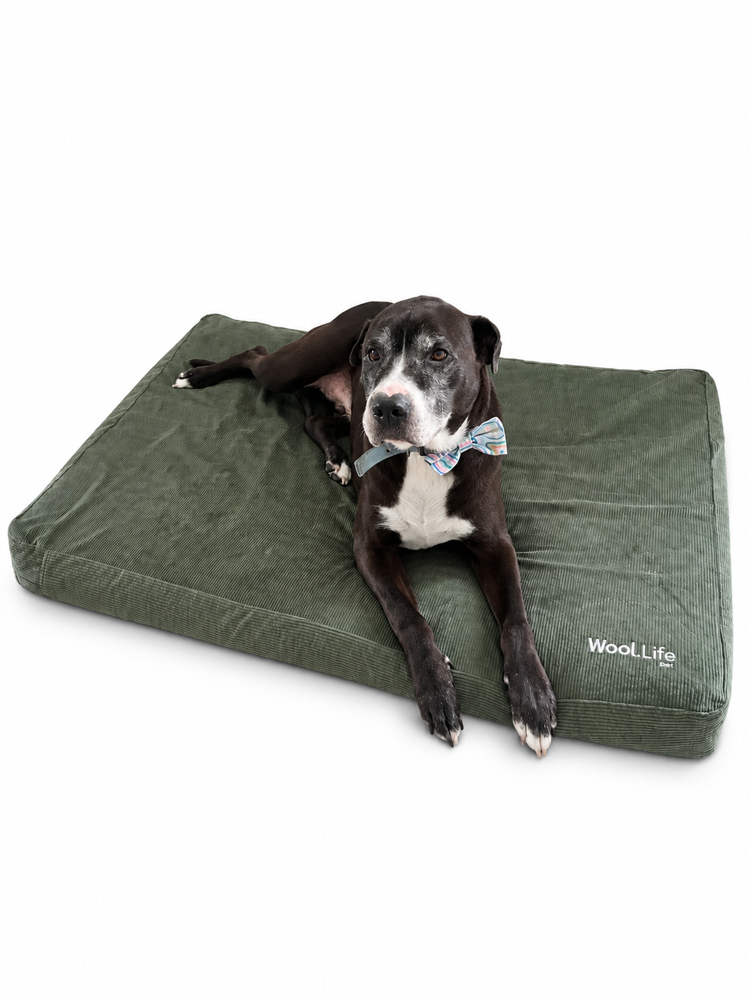 Wool.Life Pet - Dog Bed