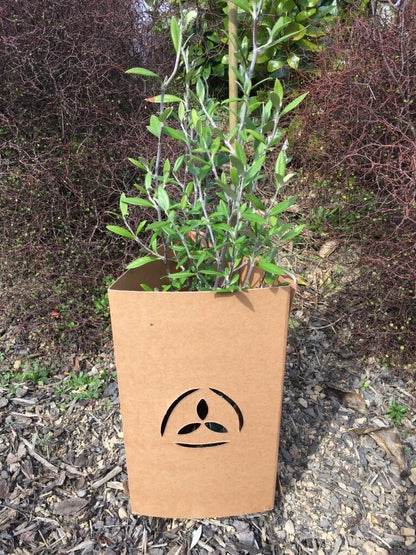 Front view of Wool.Life EmGuard plant protector packaging