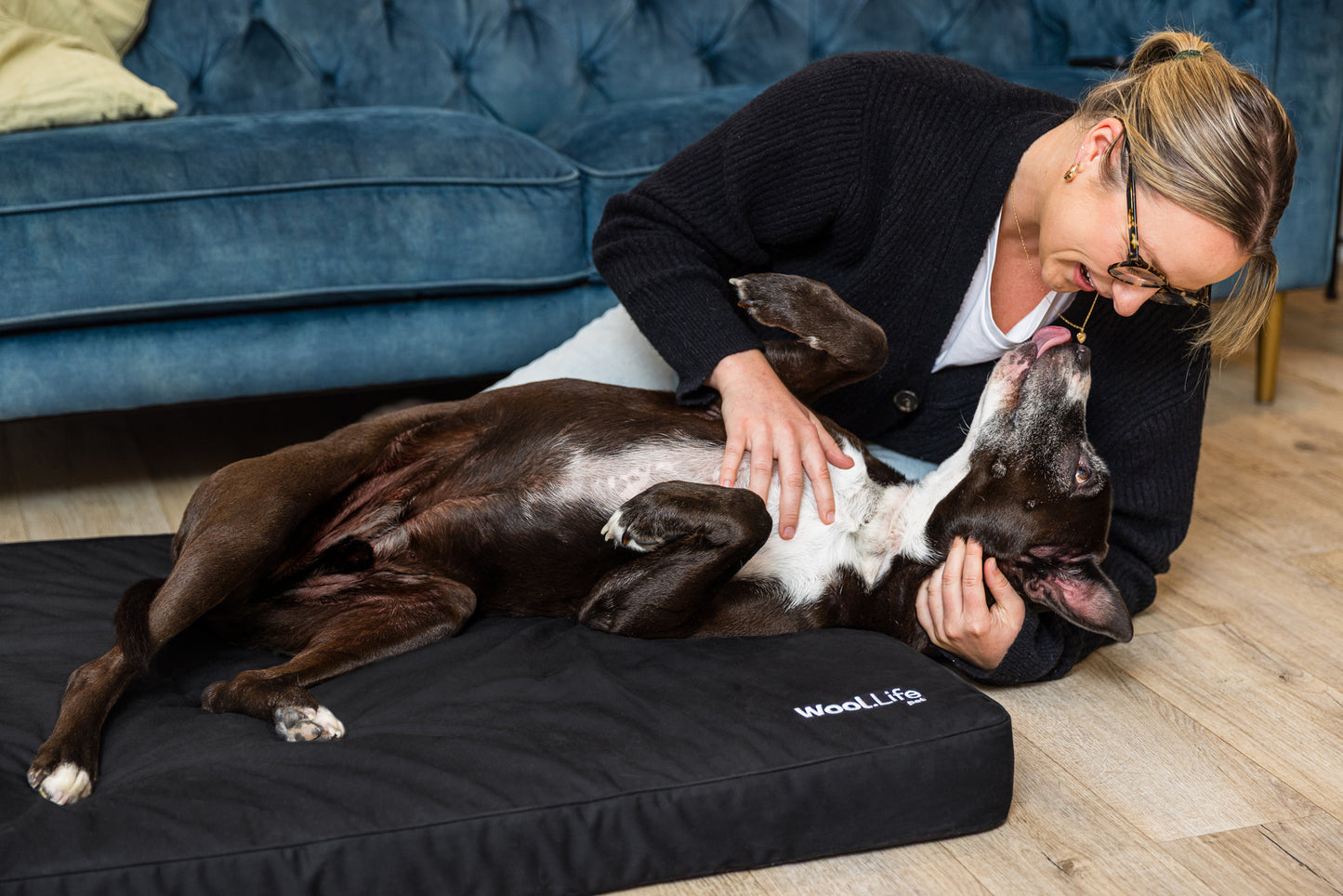 Wool.Life Pet - Dog Bed