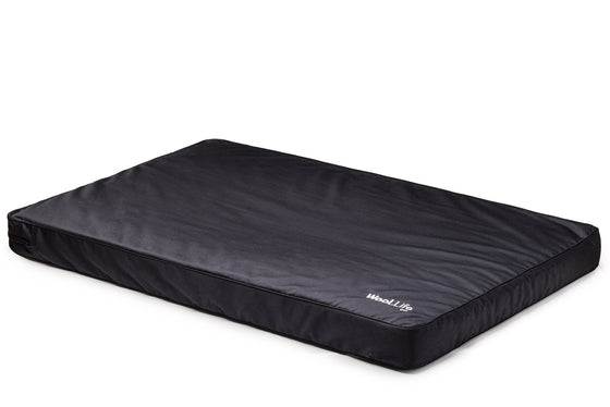 Large Wool.Life dog bed with happy dog enjoying natural wool comfort